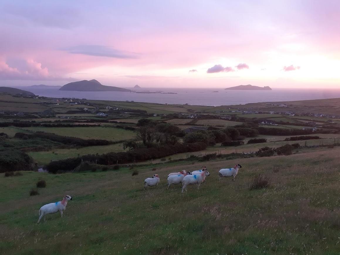 Gleann Loic Dingle