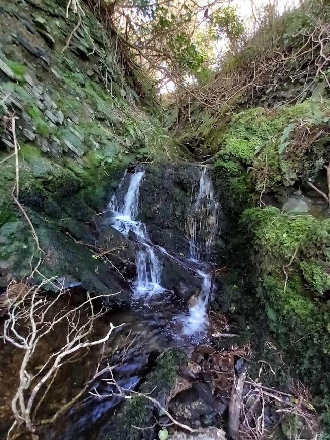Gleann Loic * Dingle